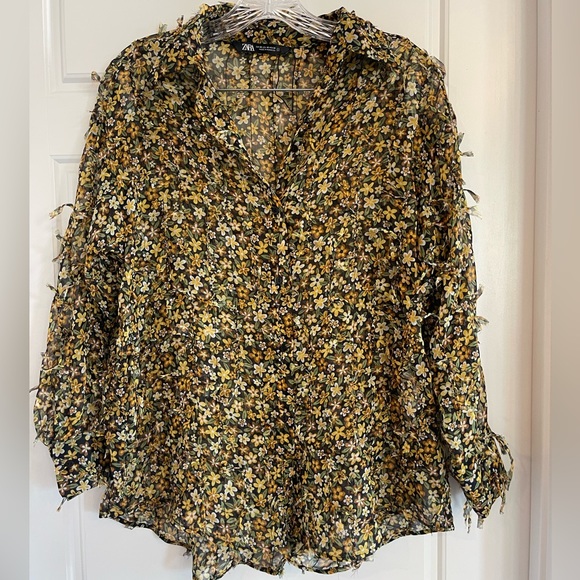 Zara Semi-Sheer Long Sleeve Blouse - Picture 1 of 10